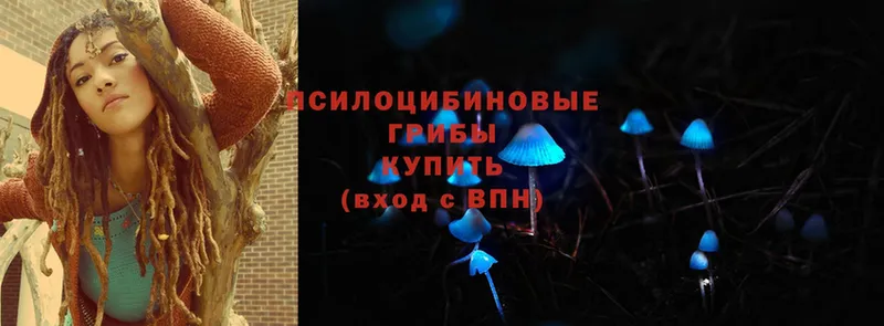 OMG зеркало  Майский  Галлюциногенные грибы MAGIC MUSHROOMS 